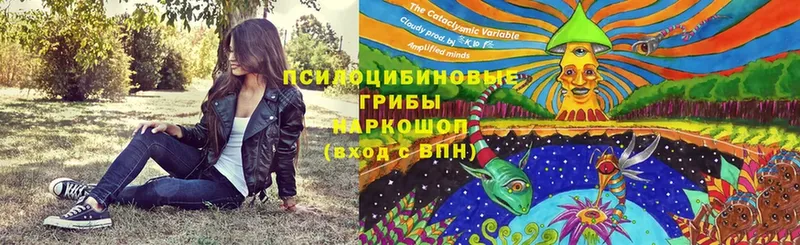 Псилоцибиновые грибы Cubensis  Лесозаводск 